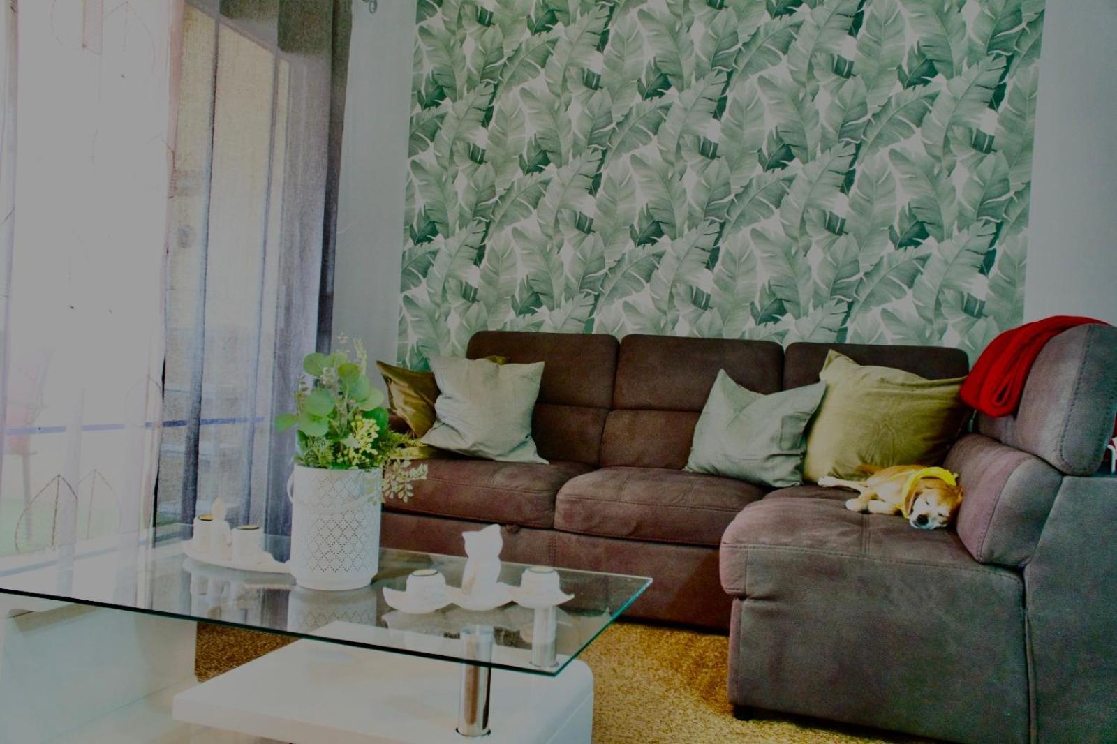Heart And Soul Apartment 圣米格尔德阿沃纳 外观 照片